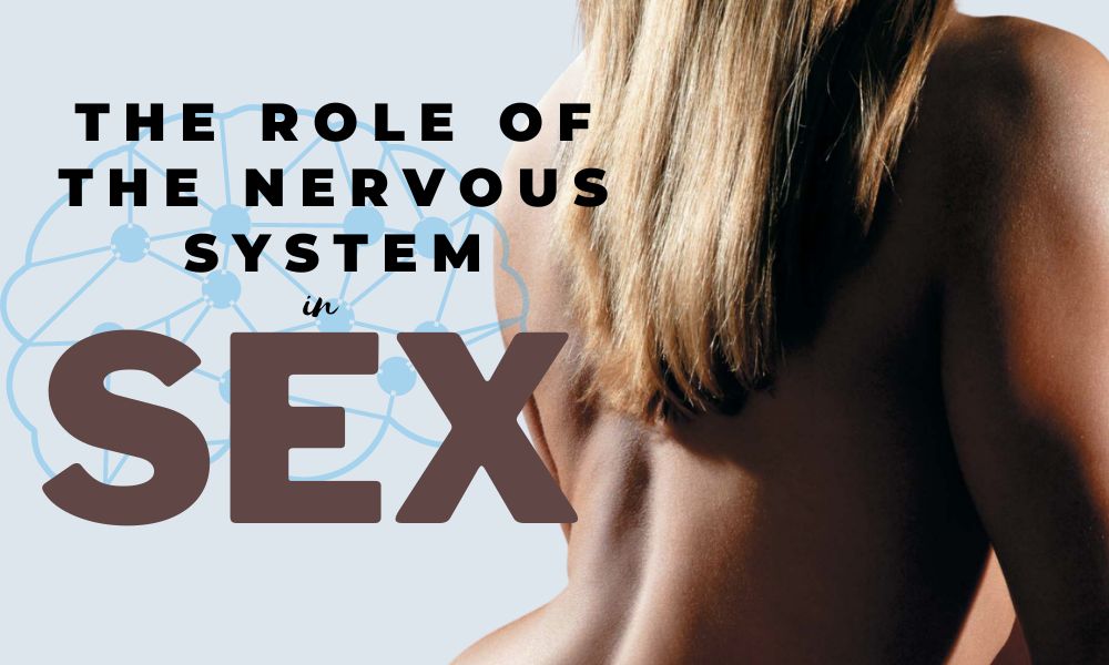 the role of the nervous system in sex