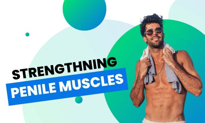 How to strengthen penile muscles